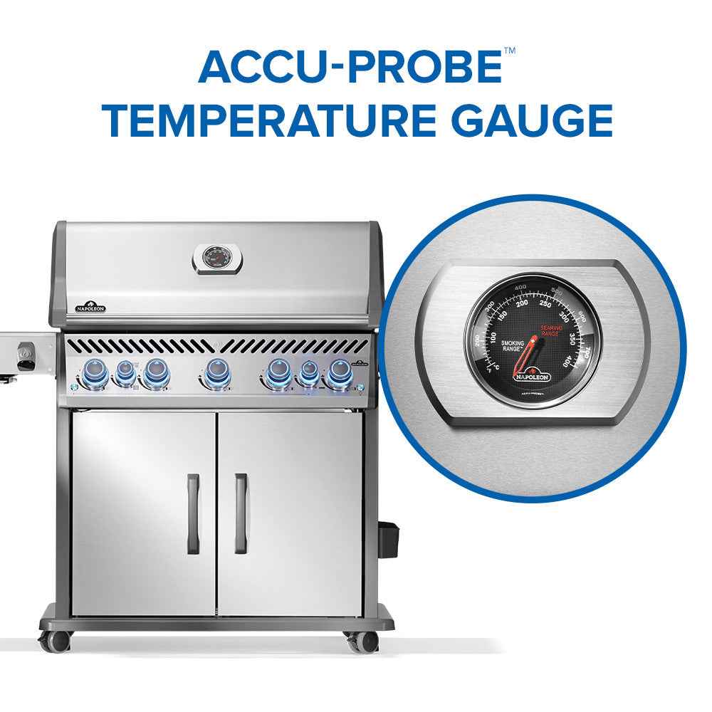 Patio Elegance Rogue PRO-S 625 Outdoor Gas Grill